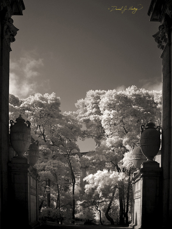 387 Palace of Fine Arts III in Infrared, San Francisco, CA