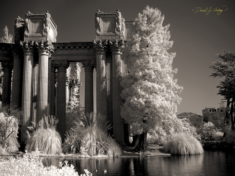 389 Palace of Fine Arts IV in Infrared, San Francisco, CA