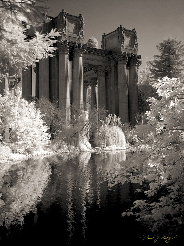 393 Palace of Fine Arts VI in Infrared, San Francisco, CA