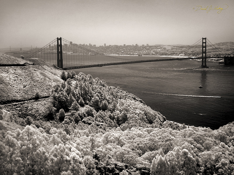 396 City View in Infrared, Marin Headlands, CA