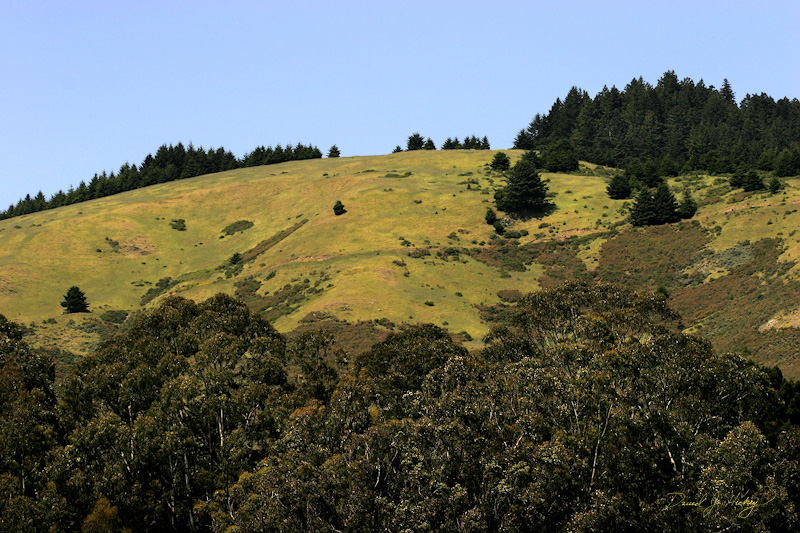 414 Hillside to the Coast, Stinson Beach, CA
