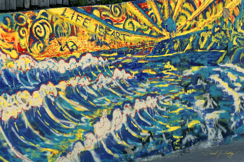 429 Community Graffiti VII, Bolinas, CA