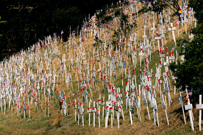 434 Fallen US Soldiers in Iraq Memorial II, Briones, CA