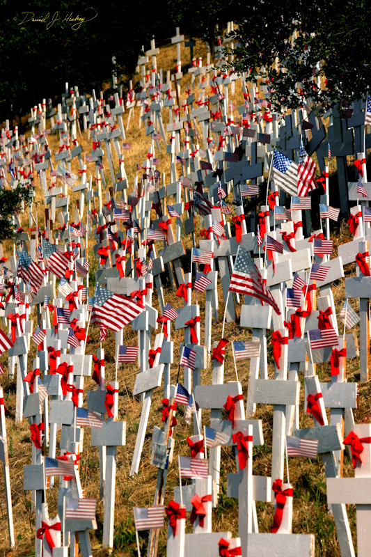 435 Fallen US Soldiers in Iraq Memorial III, Briones, CA