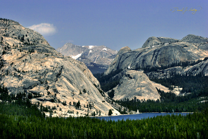 438 High Sierra Lake, off Tioga Pass Road, Yosemite, CA