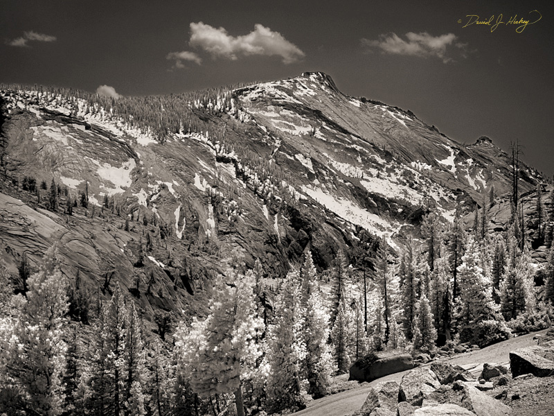 442 Tioga Pass View in Infrared, off Tioga Pass Road, Yosemite, CA