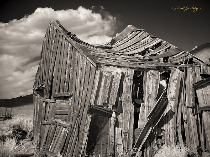 447 Shack at Bodie Ghost Town II in Infrared, Bodie, CA