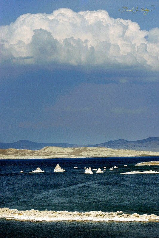 473 Mono Lake, near Lee Vining, CA