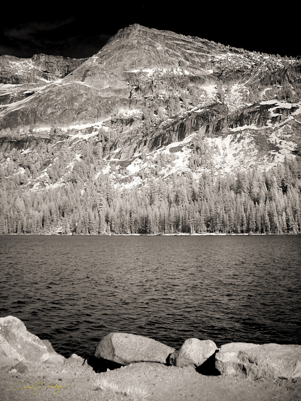 475 Tenaya lake in Infrared, off Tioga Pass Road, Yosemite, CA