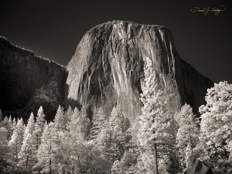 477 El Capitan (originally known as Tutucanula) in Infrared, Yosemite, CA