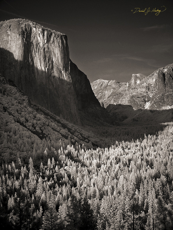 484 Glacier Point View II in Infrared, Yosemite, CA