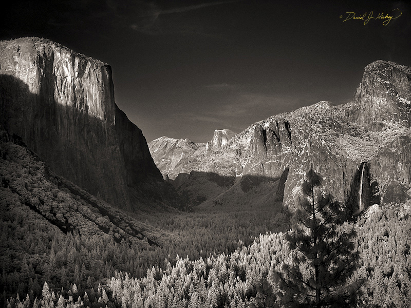 490 Glacier Point View IV in Infrared, Yosemite, CA