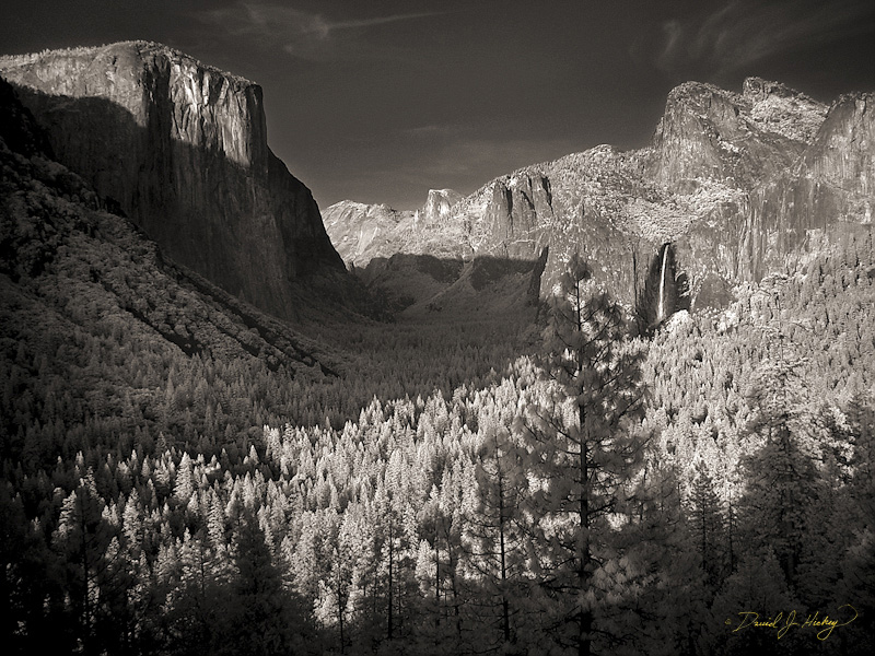 492 Glacier Point View V in Infrared, Yosemite, CA