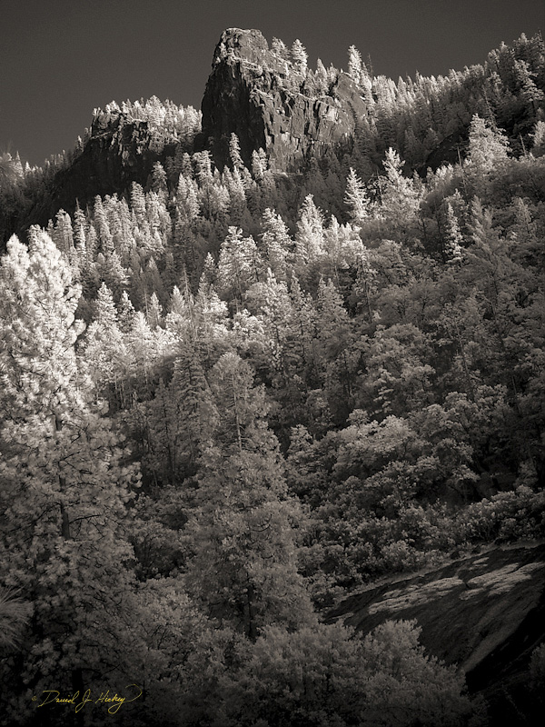 493 Upper Valley Wall in Infrared, Yosemite, CA