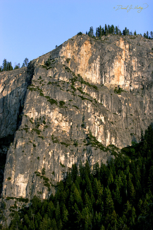 494 Upper Valley Wall, Yosemite, CA