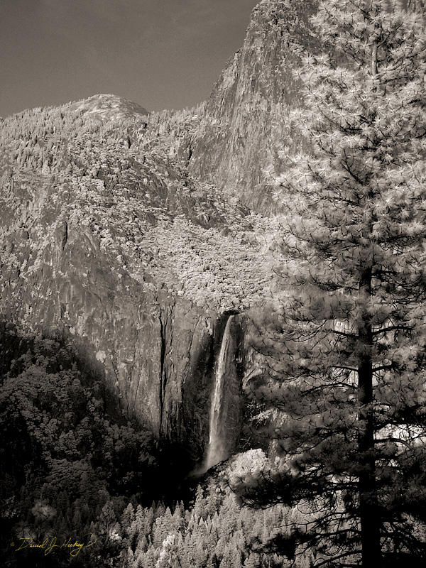 495 Bridal Veil Fall (originally called Pohono) in Infrared, Yosemite, CA