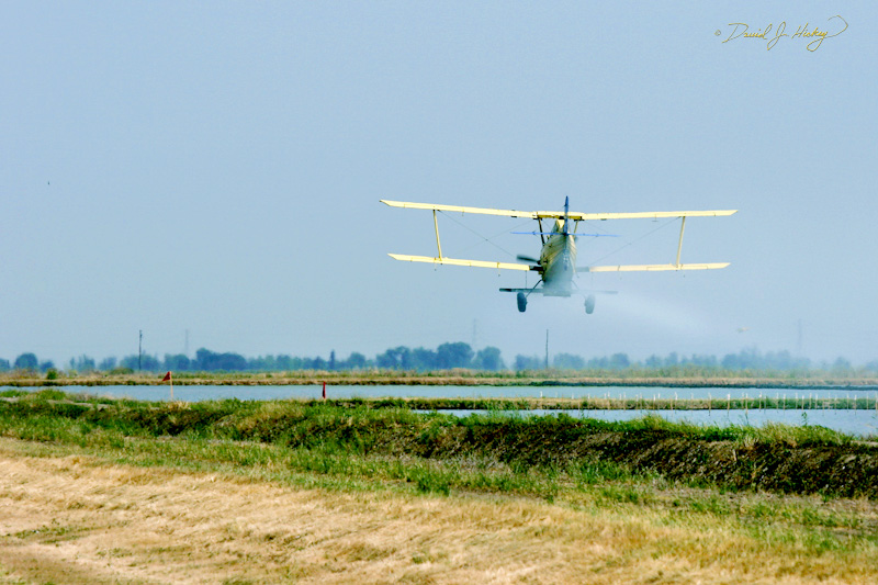 511 Cropduster VI, near Sacramento, CA