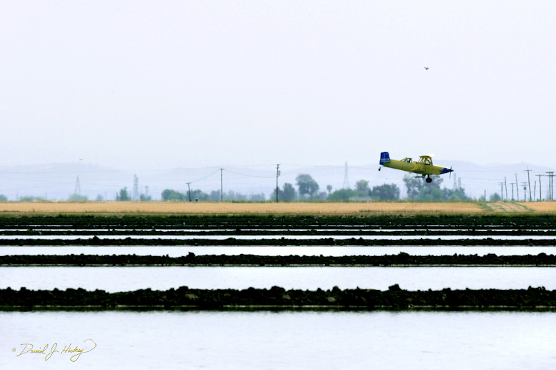 512 Cropduster VII, near Sacramento, CA