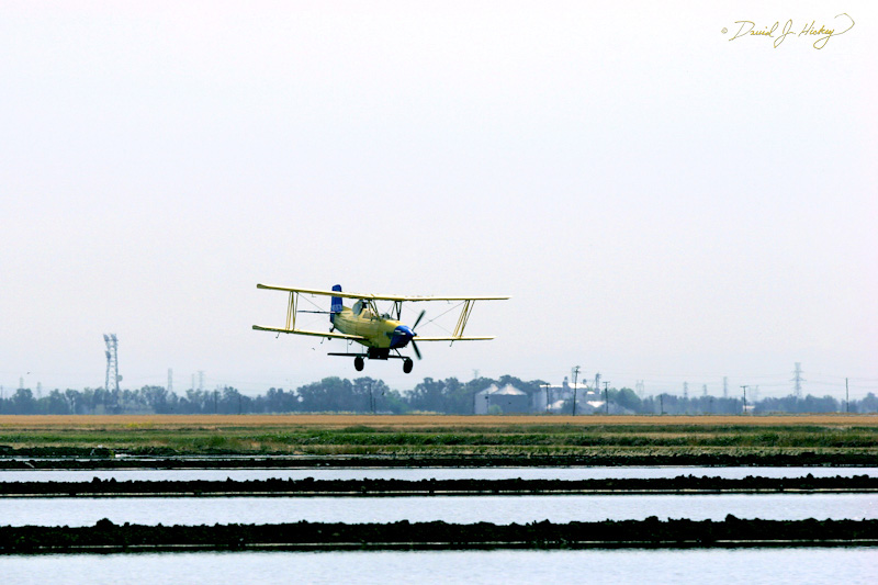 513 Cropduster VIII, near Sacramento, CA