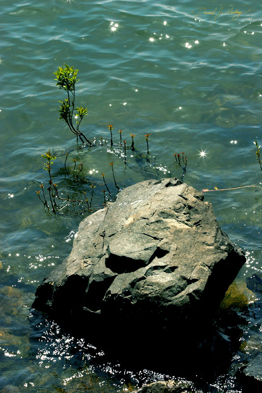 517 Rock and Water on Clear Lake, near Nice, CA