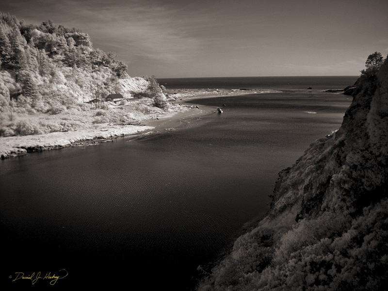 521 Noyo River in Infrared, Noyo, CA