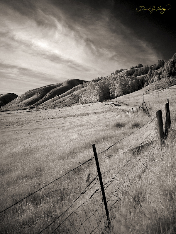 528 Coastal Highway in Infrared, near Medocino