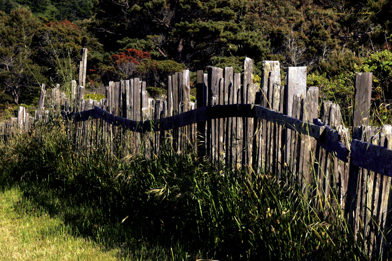 529 Old Fence, near Medocino
