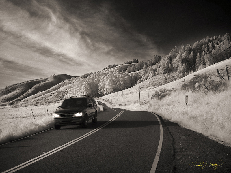 530 Coastal Highway II in Infrared, near Medocino