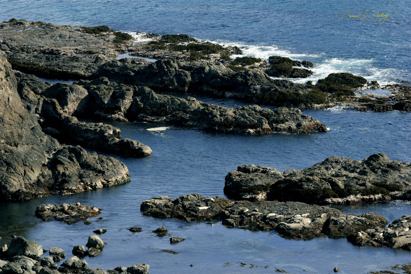 531 Surf and Rocks, near Medocino