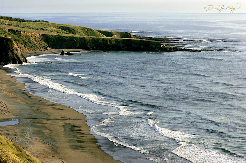 538 Scene along Highway One, somewhere, CA