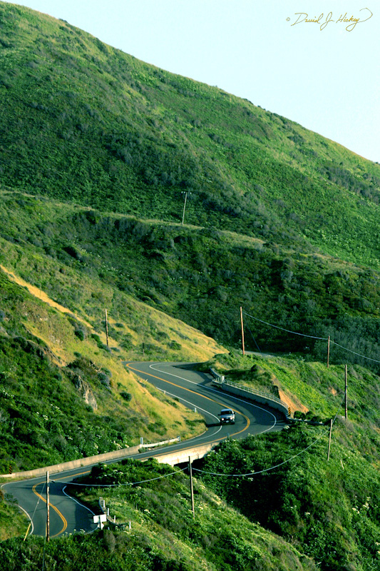 539 Scene along Highway One, somewhere, CA