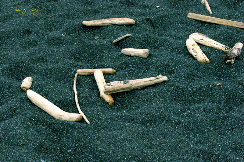 565 Driftwood, Humboldt Lagoons State Park, CA