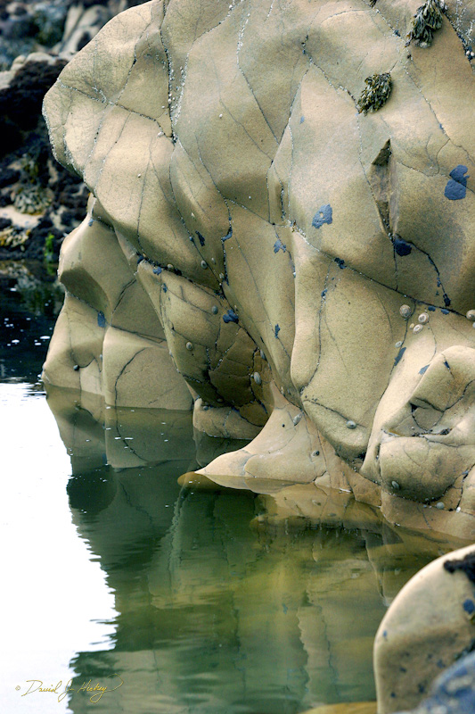 568 Rock and Tidal Pool, Humboldt Lagoons State Park, CA