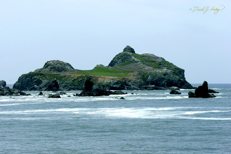 579 Rocky Island, near Brookings, OR