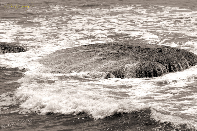 582 Surf and Rock, near Brookings, OR