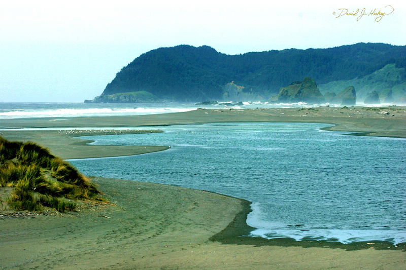 589 River to the Sea, Pistol River, OR