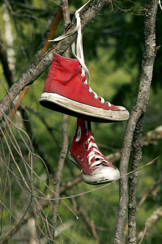 599 Shoe Tree V, road to Grant's Pass, OR