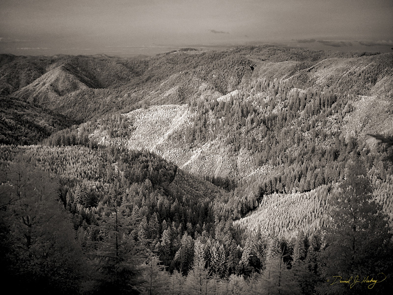 600 Siskiyou National Forest in Infrared, road to Grant's Pass, OR