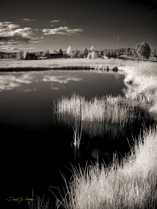 607 Pond in Infrared, north of Bend, OR
