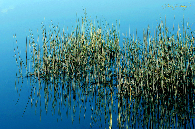 610 Pond Reeds, north of Bend, OR
