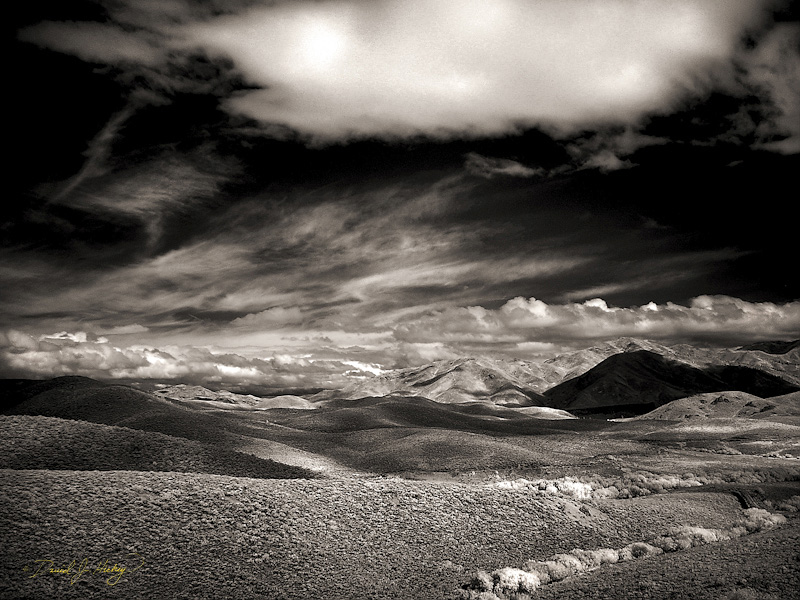 612 Makheur National Forest in Infrared, along US-395 north of Burns, OR