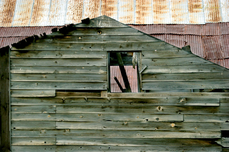 619 Old Buildings, near Prairie City, OR