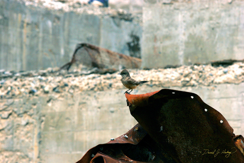637 Old Cement Plant XIII, Eastern OR