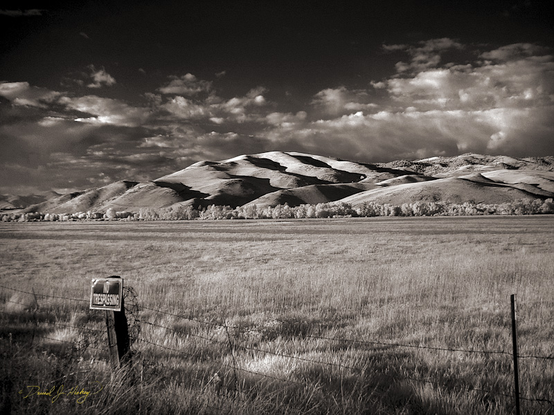 647 Pasture and Mountains in Infrared, near Lolo, MT