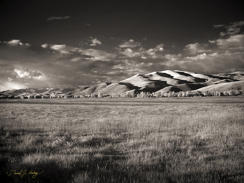 648 Pasture and Mountains II in Infrared, near Lolo, MT