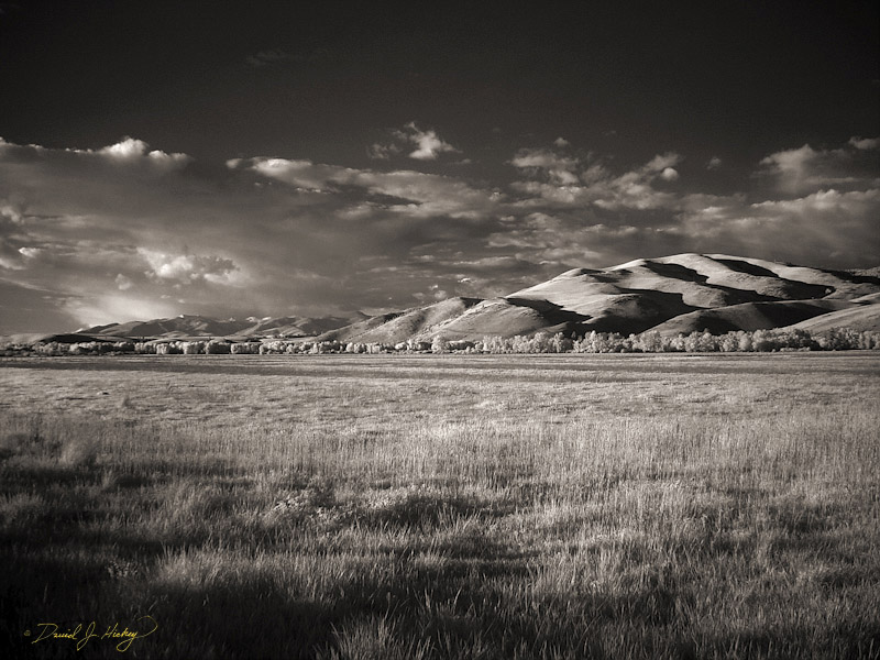 651 Pasture and Mountains V in Infrared, near Lolo, MT
