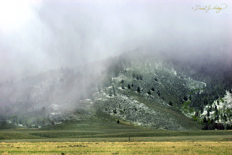655 Snow Squall, lost track ... either ID or MT, but pretty sure it was near the Salmon River (where ever that is ... lol)