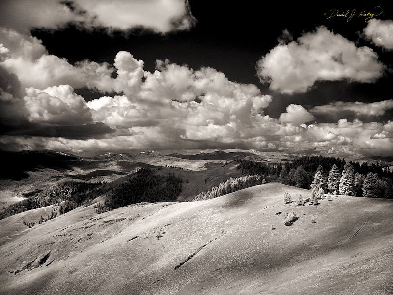 666 Mountain View II in Infrared, National Bison Range, MT