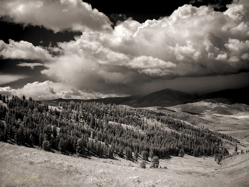668 Mountain View III in Infrared, National Bison Range, MT