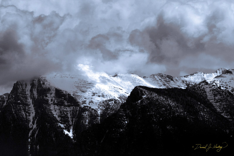 669 Mountain View, National Bison Range, MT